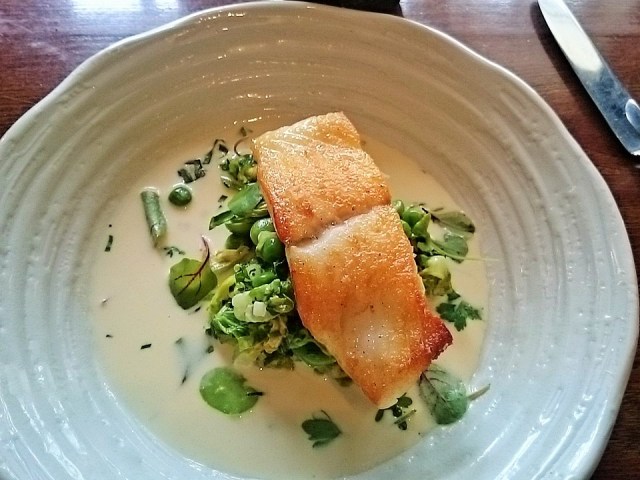 OakTurbot